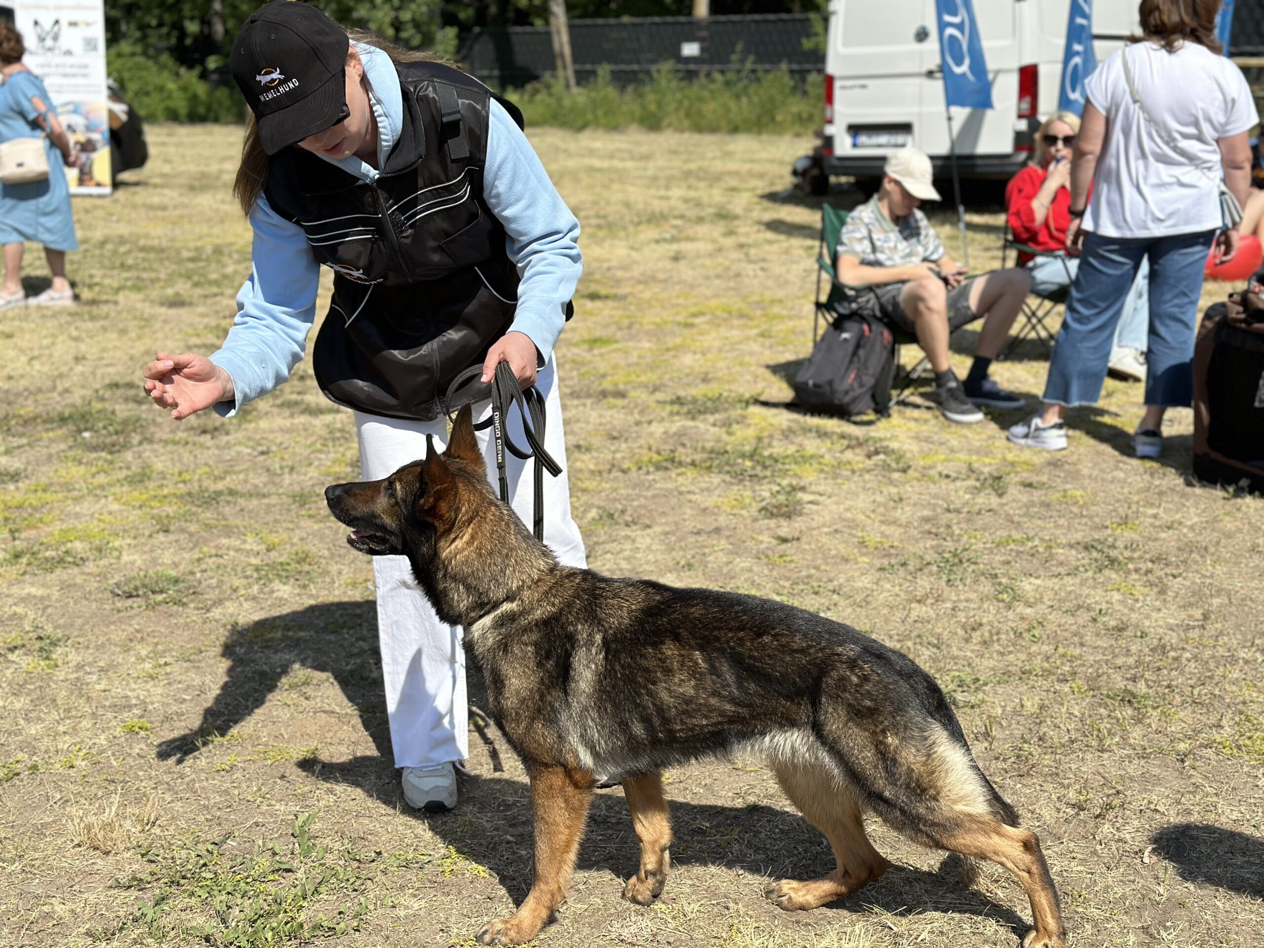 Šunų dresūros pamokos