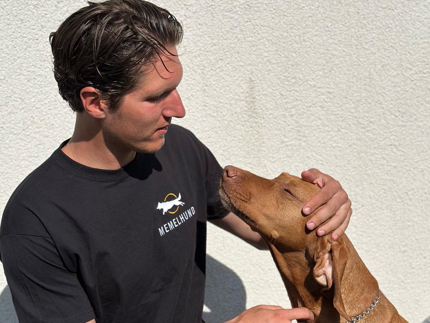 Šunų dresuotojas Klaipėdoje